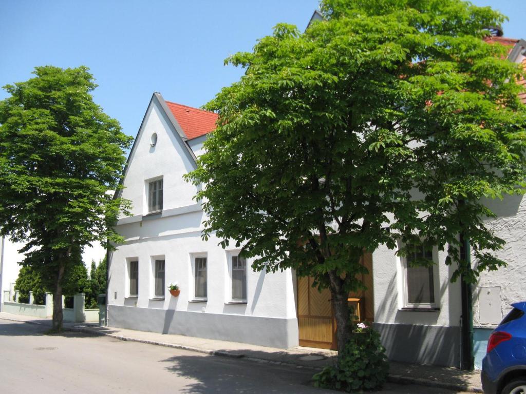 Stieglerhof Kg -Apartments Illmitz- Esterno foto